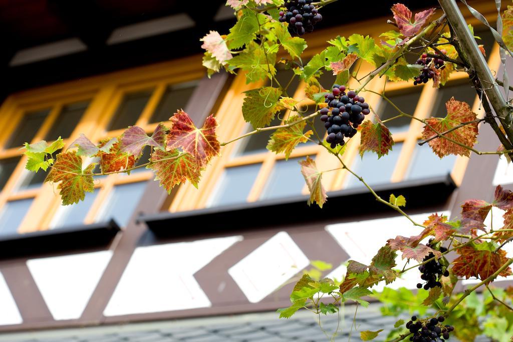 Landgasthof Rebstock Sankt Goar Zewnętrze zdjęcie
